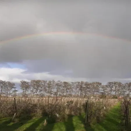 In Zuytland With Private Fishing Jetty Сasa de vacaciones