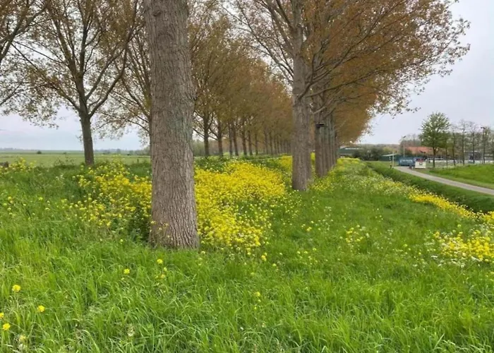 بيت للعطل In Zuytland With Private Fishing Jetty Simonshaven