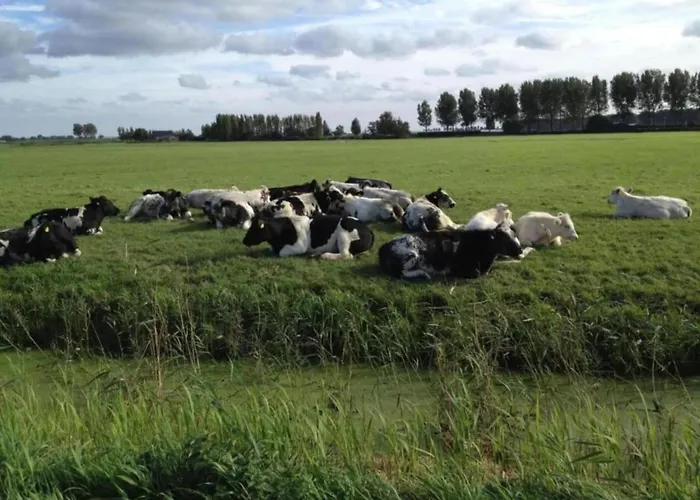 بيت للعطل In Zuytland With Private Fishing Jetty *