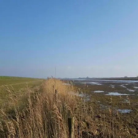 Dom wakacyjny In Zuytland With Private Fishing Jetty *