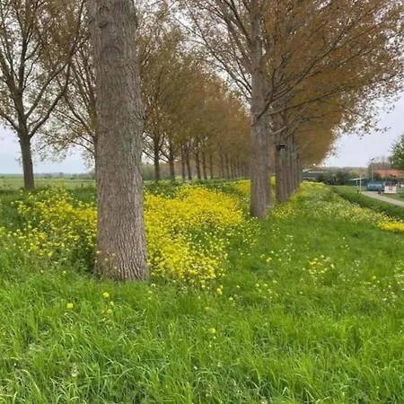 Dom wakacyjny In Zuytland With Private Fishing Jetty Simonshaven