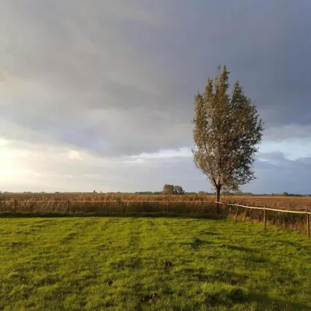 In Zuytland With Private Fishing Jetty Dom wakacyjny